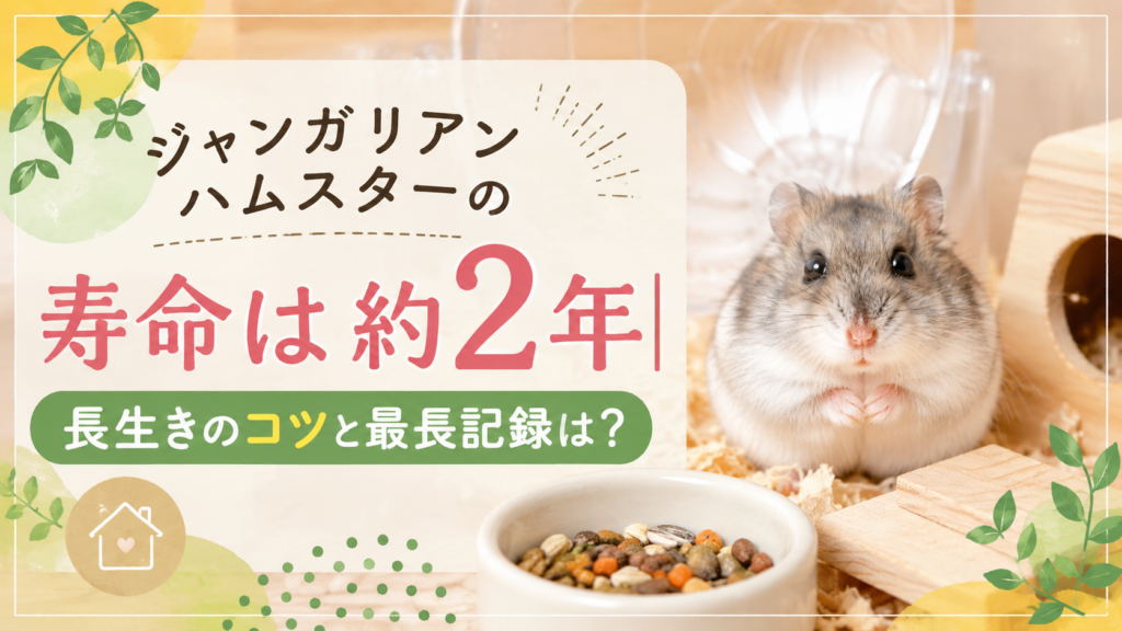 ジャンガリアンハムスターの寿命は約2年｜長生きのコツと最長記録は？