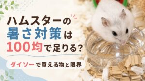 ハムスターの暑さ対策は100均で足りる？ダイソーで買える物と限界