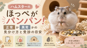 ハムスターのほっぺがパンパン！正常か異常かの見分け方と受診の目安