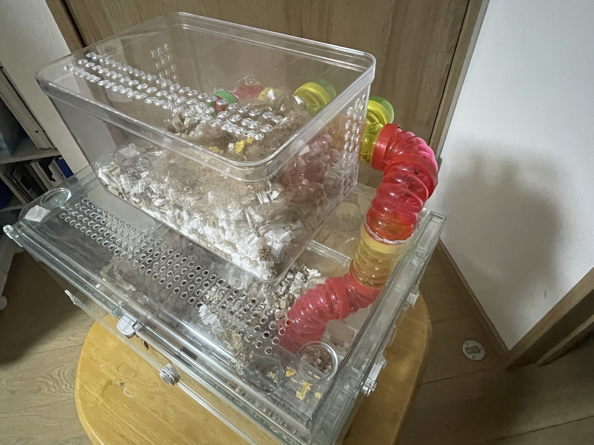 DIYしたハムスターの2階