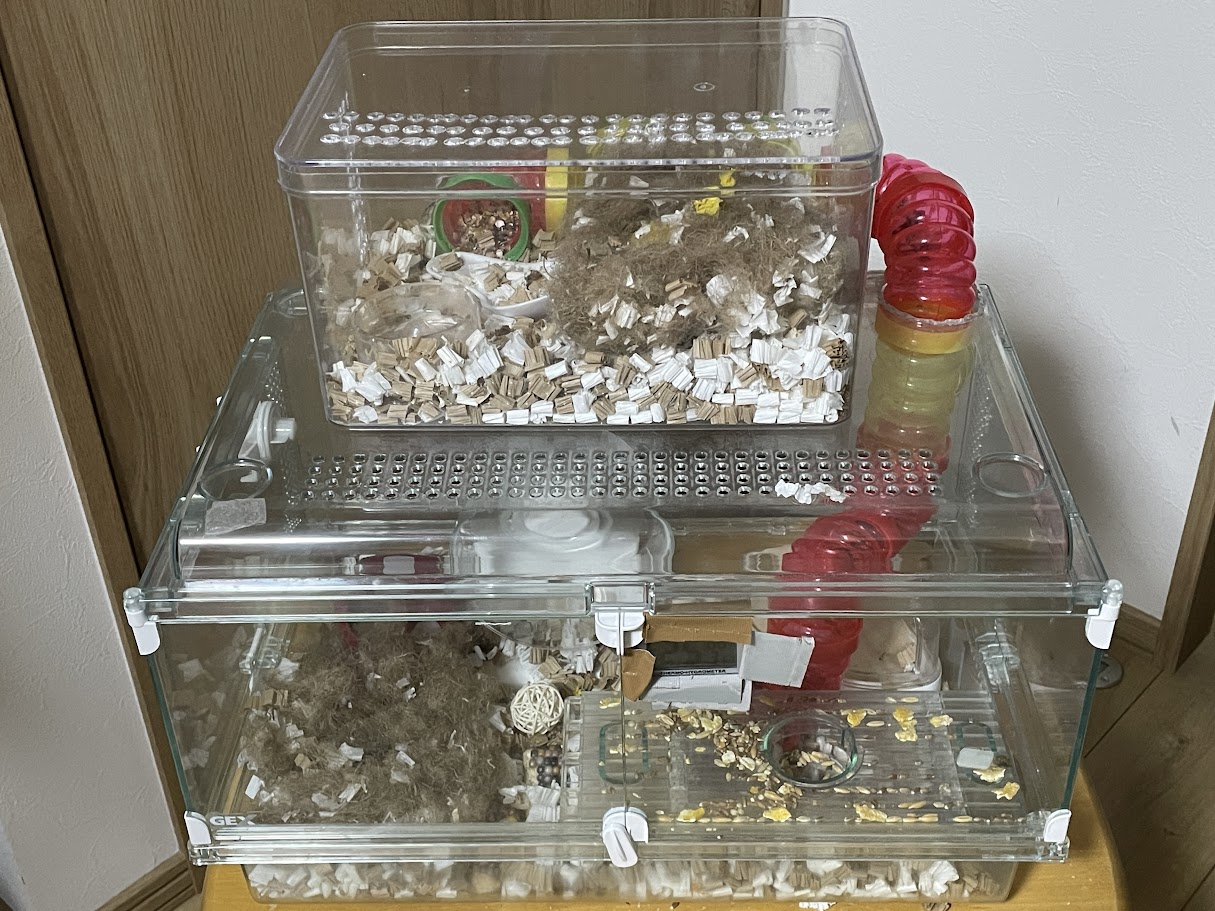 蛇腹トンネルで上下2つのケージをつないだ2階建てのハムスターケージ