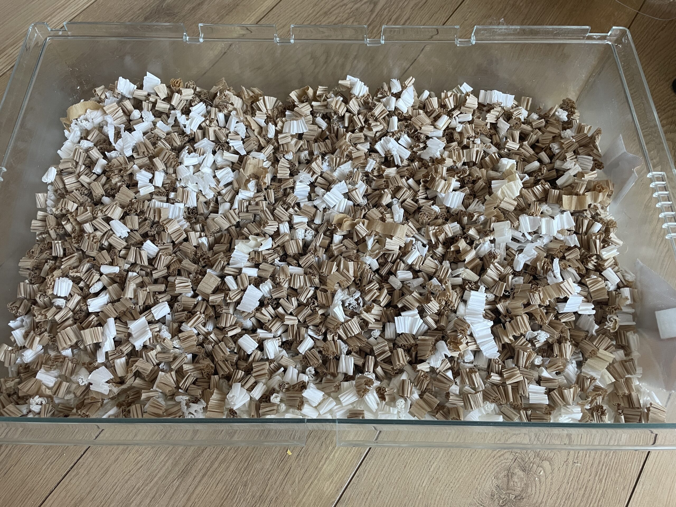 透明ケージに敷き詰めた茶色と白のハムスター用紙製床材