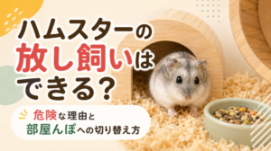 ハムスターの放し飼いはできる？危険な理由と部屋んぽへの切り替え方