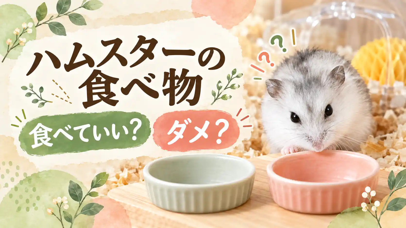 ハムスターの食べ物は食べていい？ダメ？と書かれたアイキャッチ。2つの小皿の前にいる白いジャンガリアンハムスター