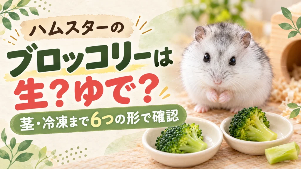 ハムスターのブロッコリーは生かゆでか、茎や冷凍まで6つの形で確認する記事のアイキャッチ。白いジャンガリアンハムスターと小皿に入ったブロッコリー