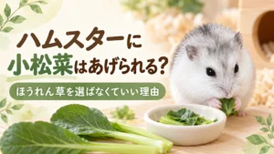 小松菜の葉を持つ白いジャンガリアンハムスターと器に入った小松菜、「ハムスターに小松菜はあげられる?」の文字
