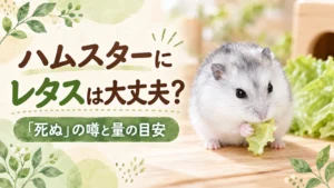レタスの葉をかじる白いジャンガリアンハムスターと「ハムスターにレタスは大丈夫?」の文字