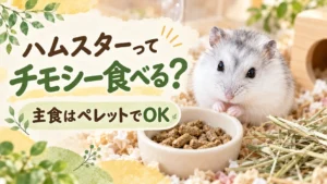ペレットの入った器と干し草のそばにいる白いジャンガリアンハムスターと「ハムスターってチモシー食べる?」の文字