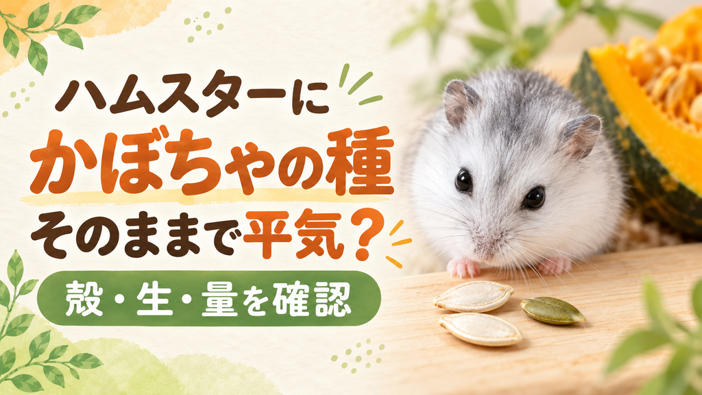 ハムスターにかぼちゃの種はそのままで平気？殻・生・量の3つを確認