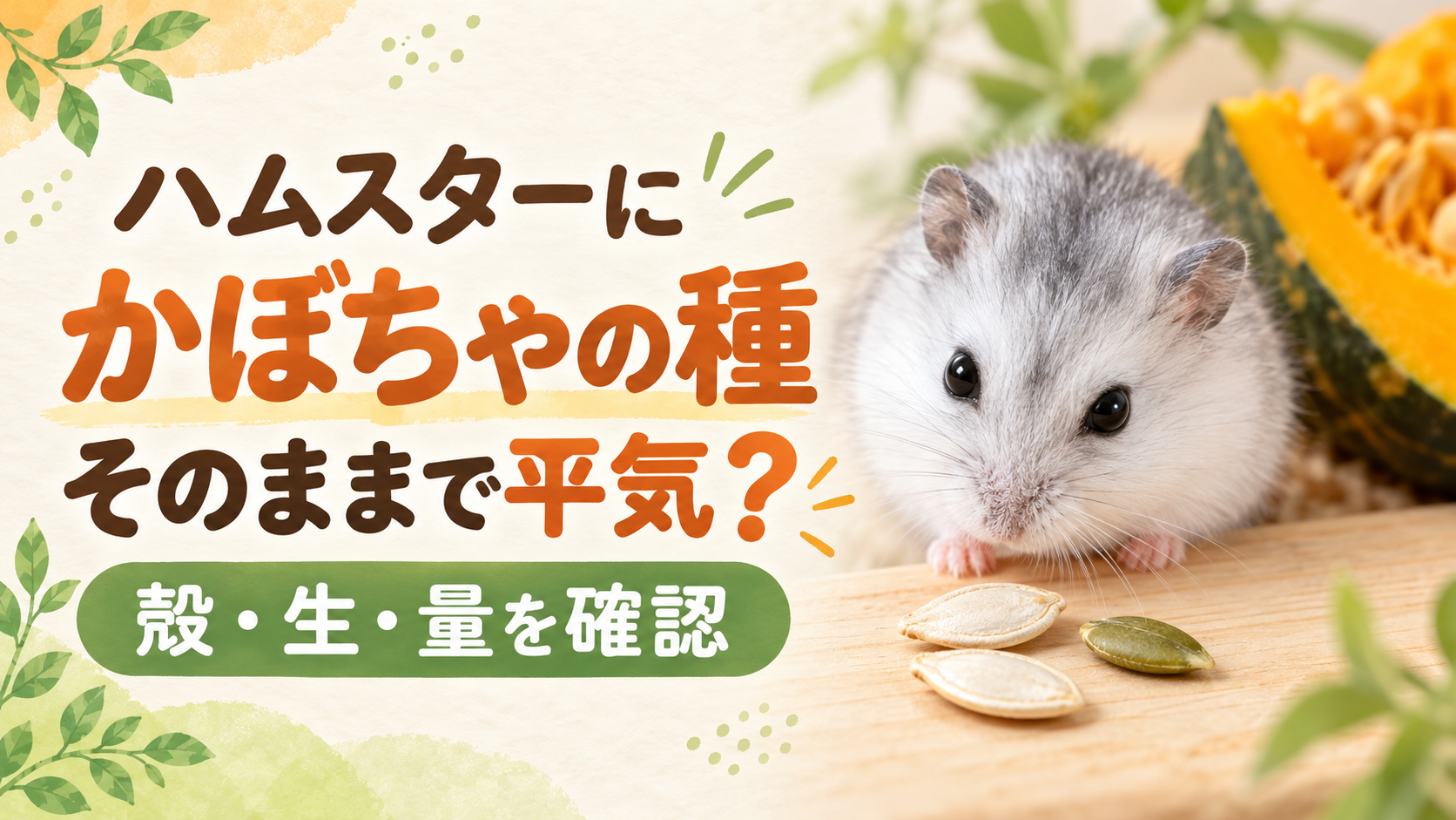 ハムスターにかぼちゃの種はそのままで平気？殻・生・量の3つを確認
